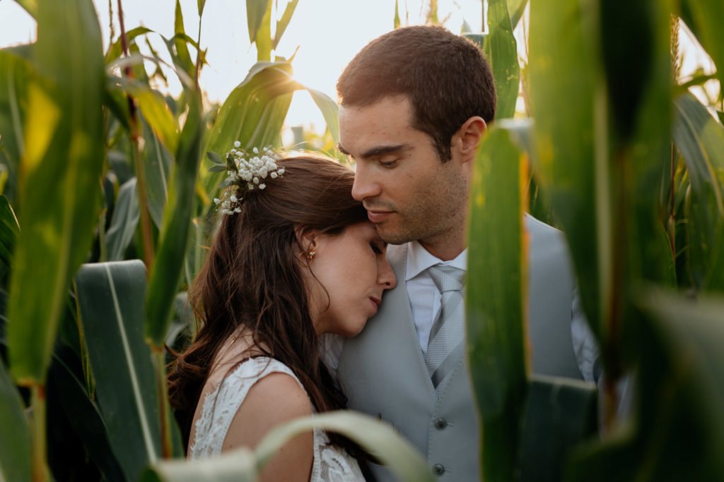 Idées de photo de couple mariage dans les champs de maïs